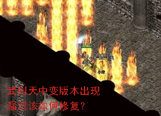 武则天中变版本出现漏洞该如何修复? 武则天中变版本出现漏洞该如何修复?