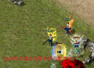 如何攻克破败传奇中的石化森林? 如何攻克破败传奇中的石化森林?