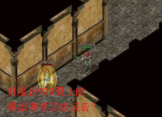 ��ħ��900��ʿ�ܱ�����Щ����װ����