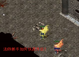 ��ʦ������ο���������