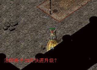 ��ʦ������ο���������