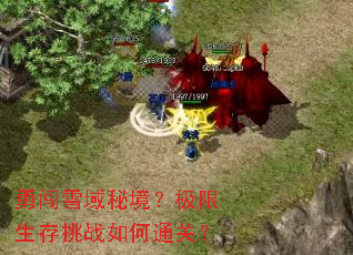 勇闯雪域秘境?极限生存挑战如何通关? 勇闯雪域秘境?极限生存挑战如何通关?