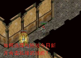 ���ѡ����ʩ�Ž����¿��ϻ�˽���ļ��ܣ�