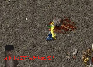 ��ο��ٻ���������飿