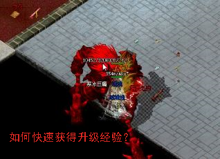 ��ο��ٻ���������飿