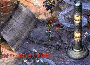 ��ο��ٻ���������飿