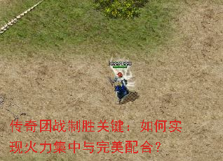 ������ս��ʤ�ؼ������ʵ�ֻ���������������ϣ�