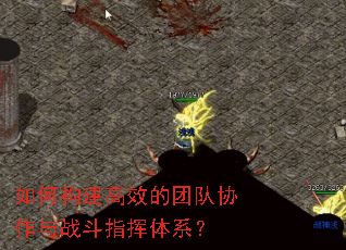 ��ι�����Ч���Ŷ�Э����ս��ָ����ϵ��