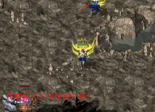 ����������ο���������