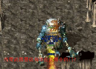 ����������������Щʵ��С���ţ�