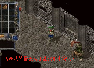 ����������������Щʵ��С���ţ�