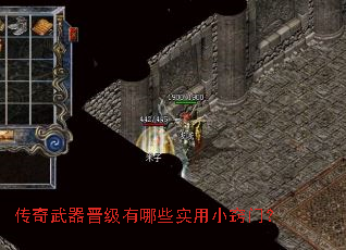 ����������������Щʵ��С���ţ�