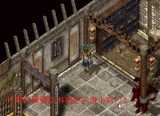 ����������������Щʵ��С���ţ�