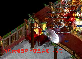 ����������������Щʵ��С���ţ�