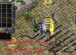 ��ο��ٻ�ȡ1.85��ţ�ϻ��еķ�����Ƭ��