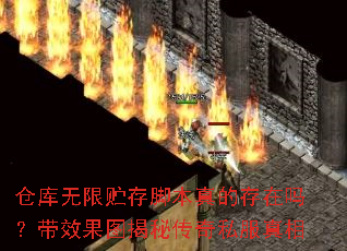 �ֿ���������ű���Ĵ����𣿴�Ч��ͼ���ش���˽������