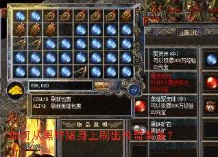 如何从黑野猪身上刷出传奇装备? 如何从黑野猪身上刷出传奇装备?