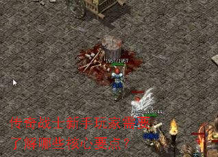 ����սʿ���������Ҫ�˽���Щ����Ҫ�㣿