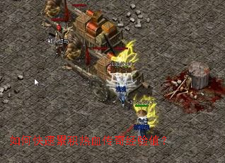 ��ο����ۻ���Ѫ���澭��ֵ��