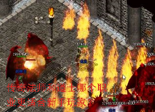 ���淨ʦ�͵�ʿ�ĸ�ְҵ���ʺ�������ң�