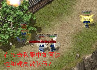 �ڴ���˽������ο����齨��Ч���飿