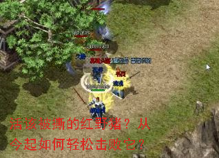 ��ñ�˺�ĺ�Ұ�����ӽ���������ɻ�������