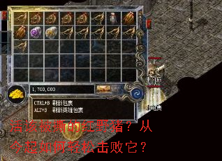 ��ñ�˺�ĺ�Ұ�����ӽ���������ɻ�������