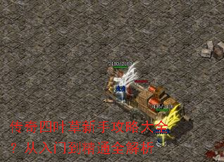 ������Ҷ�����ֹ��Դ�ȫ�������ŵ���ͨȫ����