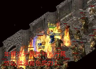 �������������������������ǿ��ɫʵ����