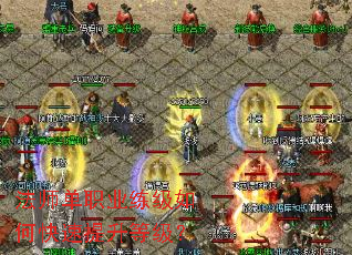 ��ʦ��ְҵ������ο��������ȼ���