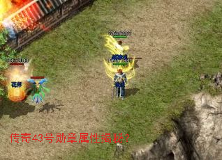 ����43��ѫ�����Խ��أ�