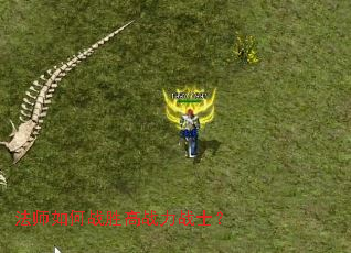 ��ʦ���սʤ��ս��սʿ��