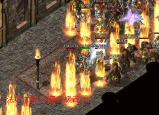 ��ʦ��ο�������������