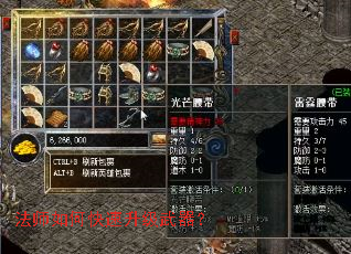 ��ʦ��ο�������������