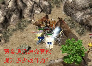 �ƽ���ң�Ⱦ�������������ս������