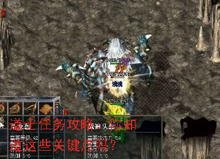 ��ʿ�����ԣ���֪����Щ�ؼ�����