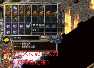 ���������ܷ��Ϊ��ʦ����ʤ������