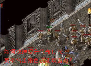 ��ο�����������1.76Ӣ�ۺϻ���ɫ���ܹ�������