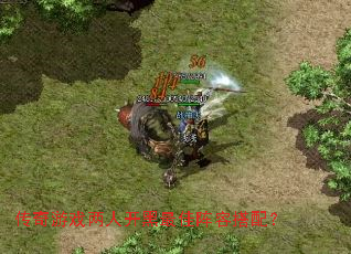 ������Ϸ���˿���������ݴ��䣿