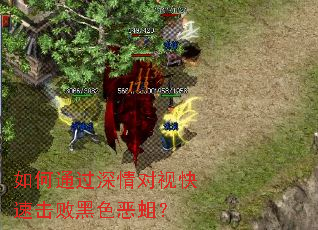 ���ͨ��������ӿ��ٻ��ܺ�ɫ������