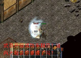 ���������ɹ��ʷ������������ؾ�����������