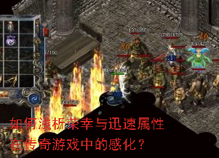 ���ǳ��������Ѹ�������ڴ�����Ϸ�еĸл���