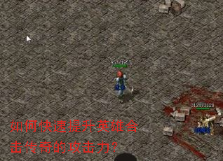 ��ο�������Ӣ�ۺϻ�����Ĺ�������