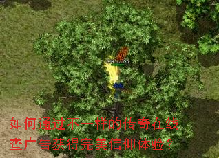 ���ͨ����һ���Ĵ������߲����������������飿