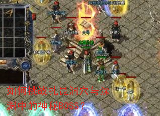 �����ս������Ѩ����Ԩ�е�����BOSS��