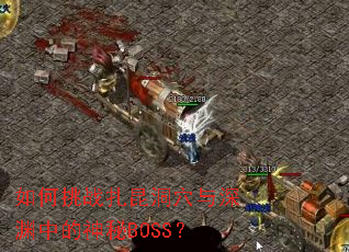 �����ս������Ѩ����Ԩ�е�����BOSS��