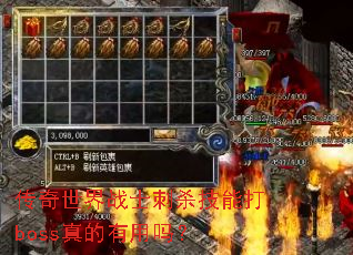 ��������սʿ��ɱ���ܴ�boss���������