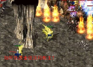 ��ο��ٻ������������