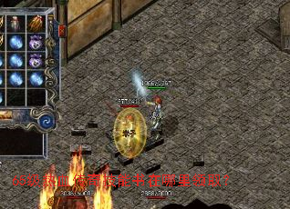 65����Ѫ���漼������������ȡ��