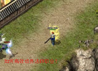 如何高效培养法师职业? 如何高效培养法师职业?